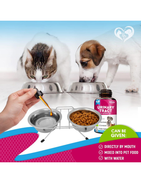 Suplemento Natural UTI para Gatos y Perros Beloved Pets 118g