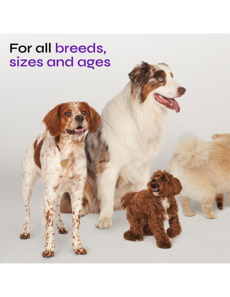 Golosinas de Arándano Vetrica para UTI en Perros 255g