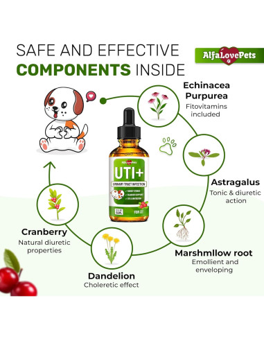 Suplemento UTI para Perros y Gatos Alfa Love Pets 56.7 g