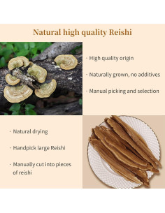 Té de Hongo Reishi Lingzhi Rojo 120g - Ganoderma Lucidum 2