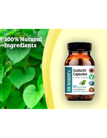Cápsulas Guduchi DR WAKDE 60 Veganas 500mg Suplemento Natural