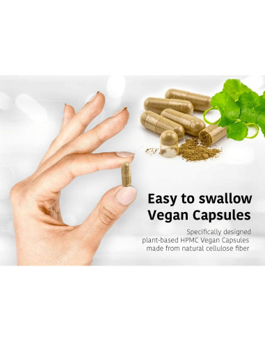 Cápsulas de Ashwagandha y Shatavari DR WAKDE - 60 Veganas