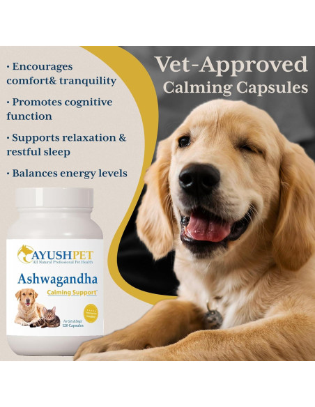 Suplemento Natural para Mascotas Ayush Pet 120 Cápsulas
