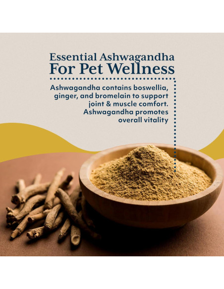 Suplemento Natural para Mascotas Ayush Pet 120 Cápsulas