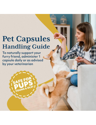 Suplemento Natural para Mascotas Ayush Pet 120 Cápsulas