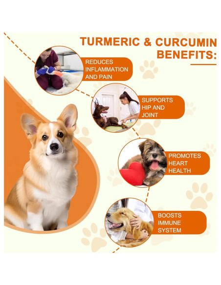 Suplemento Masticable de Cúrcuma para Perros Jinqi 180 Tabletas