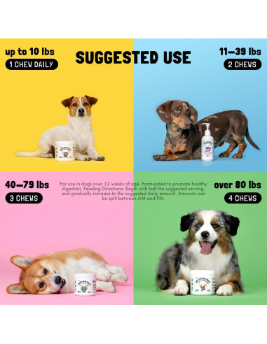 Suplemento de Cúrcuma y Curcumina LEGITPET 120 Masticables