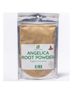 Polvo de Raíz de Angélica 113g - Herb To Body - 100% Natural