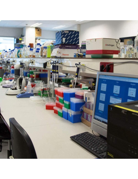 Cultivo de Hongos Portobello Liquid Fungi 0.45 kg - Cultura Líquida