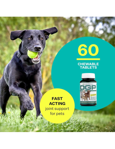 Suplemento Articular Natural DGP para Perros - 60 Tabletas