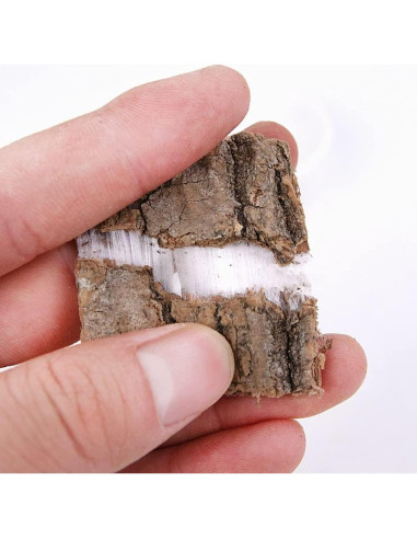 Té de Eucommia Ulmoides Genérico 250 g - Corteza Natural