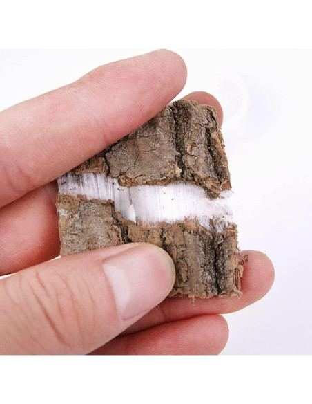 Té de Eucommia Ulmoides Genérico 250 g - Corteza Natural