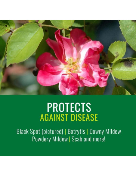 NATRIA Spray de Aceite de Neem 24 Oz - Control de Plagas y Enfermedades