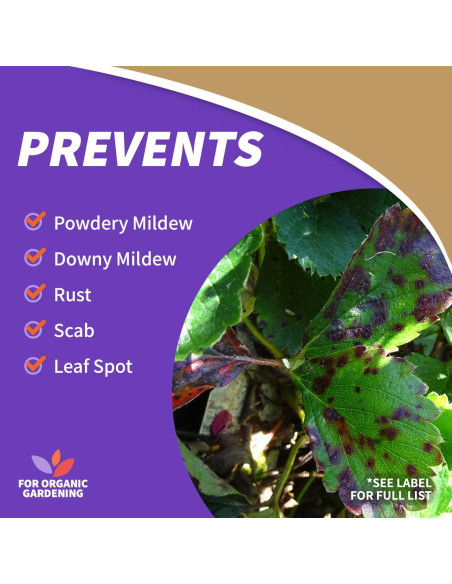 Aceite de Neem Concentrado Bonide 473 ml Insecticida Orgánico