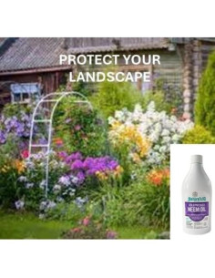 Fórmula Avanzada de Neem Oil Nature's IQ 4 en 1 79.49L 2