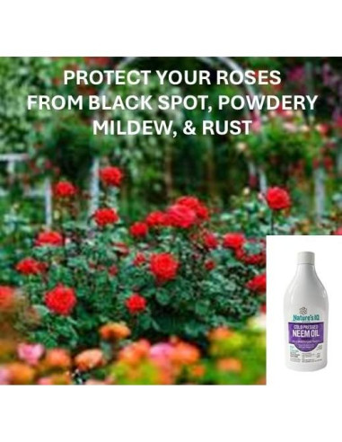 Concentrado de Aceite de Neem Nature's IQ 2x473ml - Insecticida 4 en 1