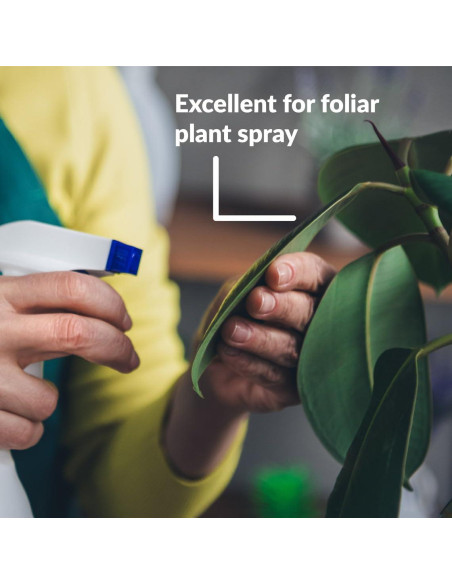 Aceite de Neem Puro Orgánico SUPERthrive 236.6 ml