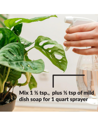 Aceite de Neem Puro Orgánico SUPERthrive 236.6 ml