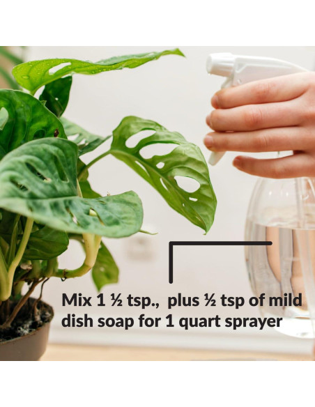 Aceite de Neem Puro Orgánico SUPERthrive 236.6 ml