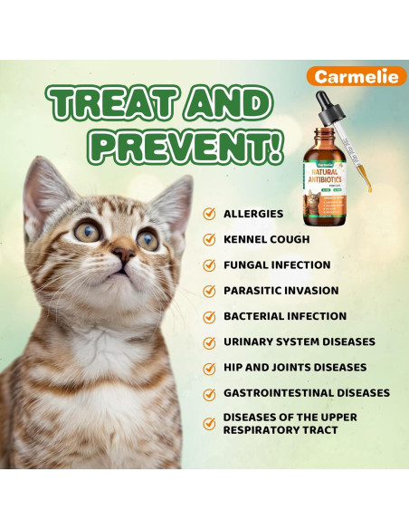 Antibiótico Natural para Gatos Carmelie 59 ml - Salud Urinaria