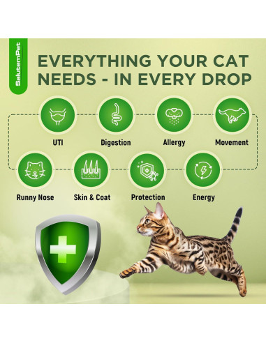 Antibiótico Natural para Gatos SalutemPet 60 ml - Infecciones y Alergias