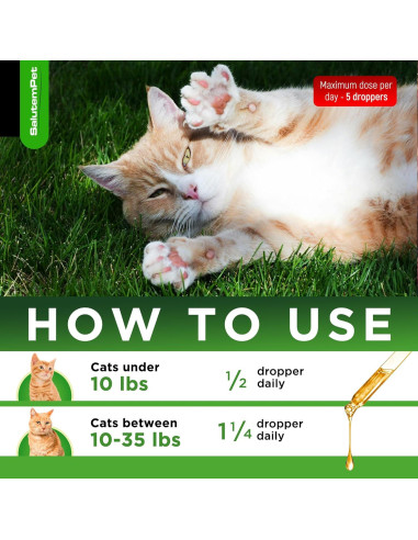 Antibiótico Natural para Gatos SalutemPet 60 ml - Infecciones y Alergias