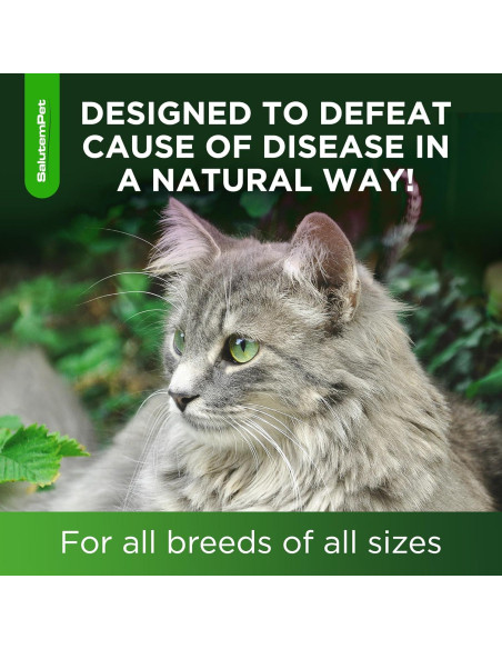 Antibiótico Natural para Gatos SalutemPet 60 ml - Infecciones y Alergias
