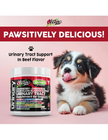 Suplemento Urinario para Perros Clean Brands 60 Cápsulas