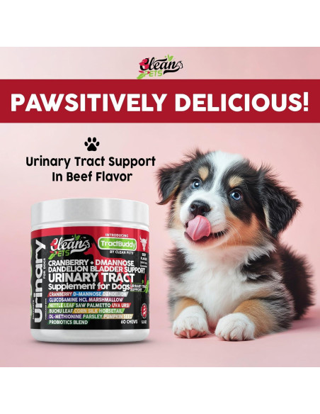 Suplemento Urinario para Perros Clean Brands 60 Cápsulas