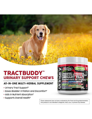Suplemento Urinario para Perros Clean Brands 60 Cápsulas