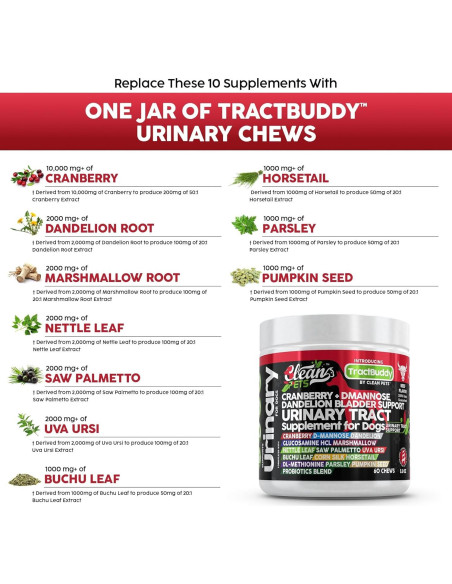 Suplemento Urinario para Perros Clean Brands 60 Cápsulas