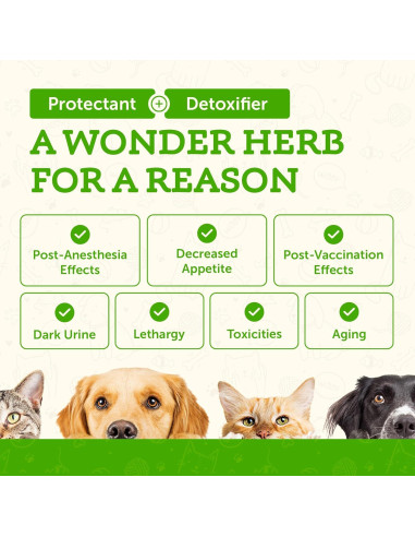 Suplemento Hepático Esenciales de Animales Cardo Lechoso 60 ml