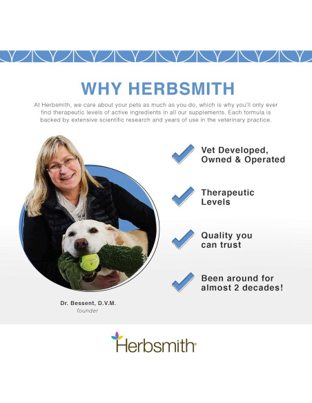 Suplemento Hepático Cardo Mariano Herbsmith 75g para Mascotas