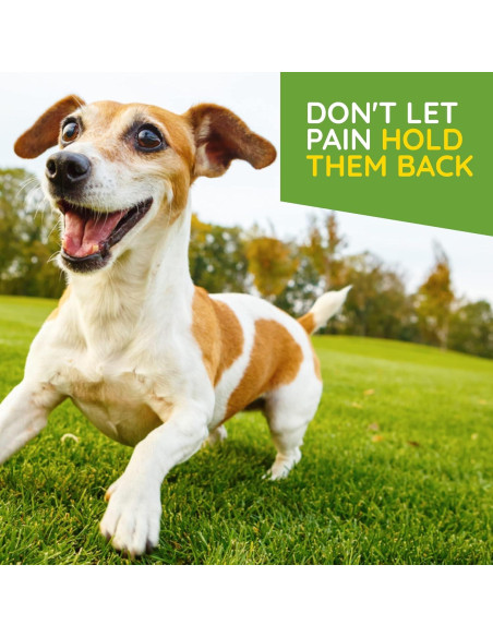 Gotas MediNatura T-Relief para Alivio de Artritis en Mascotas 47.7 ml