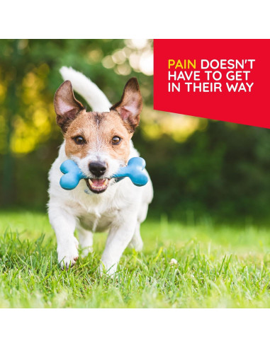 T-Relief Alivio Natural para Mascotas Arnica 90 Tabletas