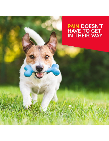 T-Relief Alivio Natural para Mascotas Arnica 90 Tabletas