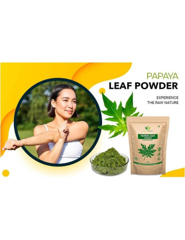 Polvo de Hojas de Papaya Green Nectar 454g - No OGM