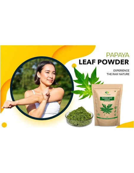 Polvo de Hojas de Papaya Green Nectar 454g - No OGM