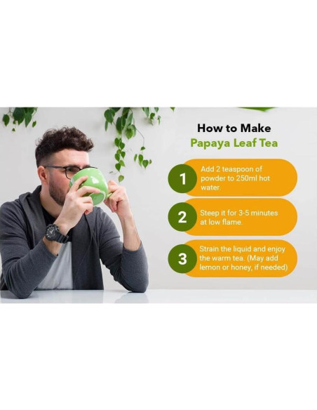 Polvo de Hojas de Papaya Green Nectar 454g - No OGM