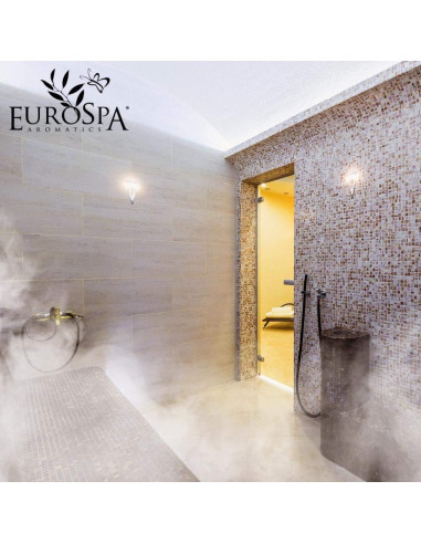 Aceite Puro de Eucalipto EuroSpa Aromatics 100% Natural 2x59ml