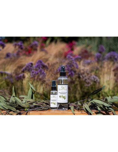 Aceite de Eucalipto Puro EuroSpa Aromatics 100% Natural 226.8ml