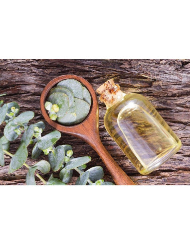 Aceite de Eucalipto Puro EuroSpa Aromatics 100% Natural 226.8ml