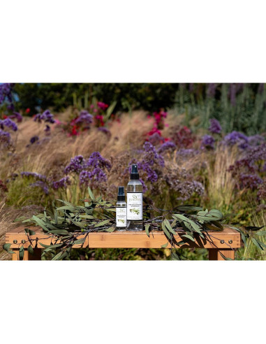 Aceite de Eucalipto Puro EuroSpa Aromatics 100% Natural 226.8ml