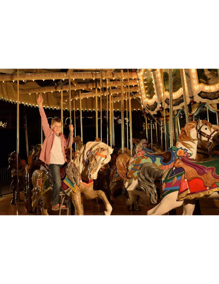 Cámara DSLR Nikon D3300 24.2 MP HD 1080p - Negro