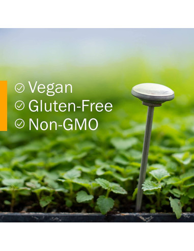 Extracto Líquido de Raíz de Pleuresía Herb Pharm 30 ml Orgánico