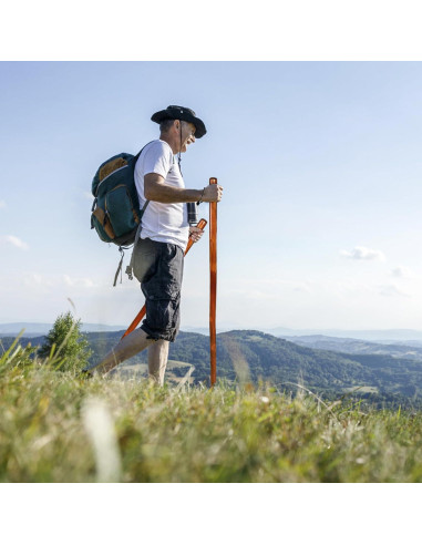 Bastones de Senderismo Mezchi 2 Paquete Madera Natural 121.92 cm