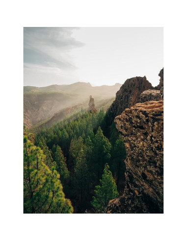 Cámara sin Espejo OM SYSTEM OM-5 Mark II Negra 20.4MP