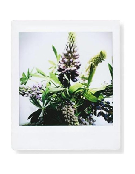 Película Instantánea Cuadrada Fujifilm 20 Exposiciones ISO 800