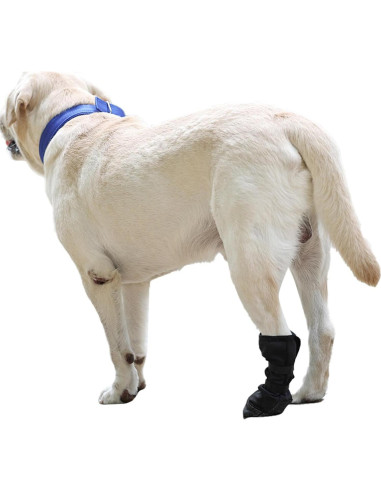 Bota Protectora para Perro Grande Ubxvamm - Recuperación Suave