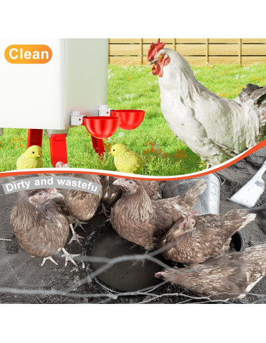 Tazas de Agua Automáticas para Pollos ZenxyHoC - Paquete de 10